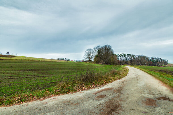 Thumbnail: 30_JA14507 Berghias.jpg